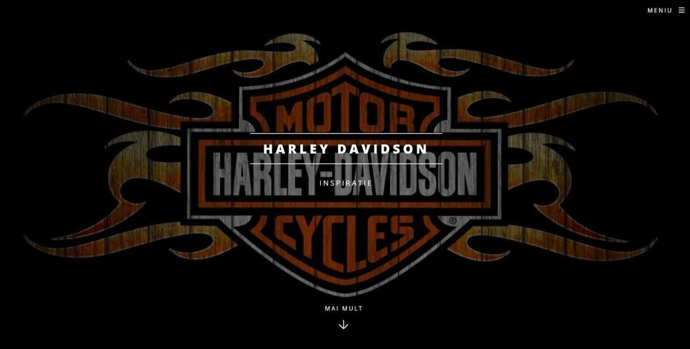 Site-uri custom si pagini social media