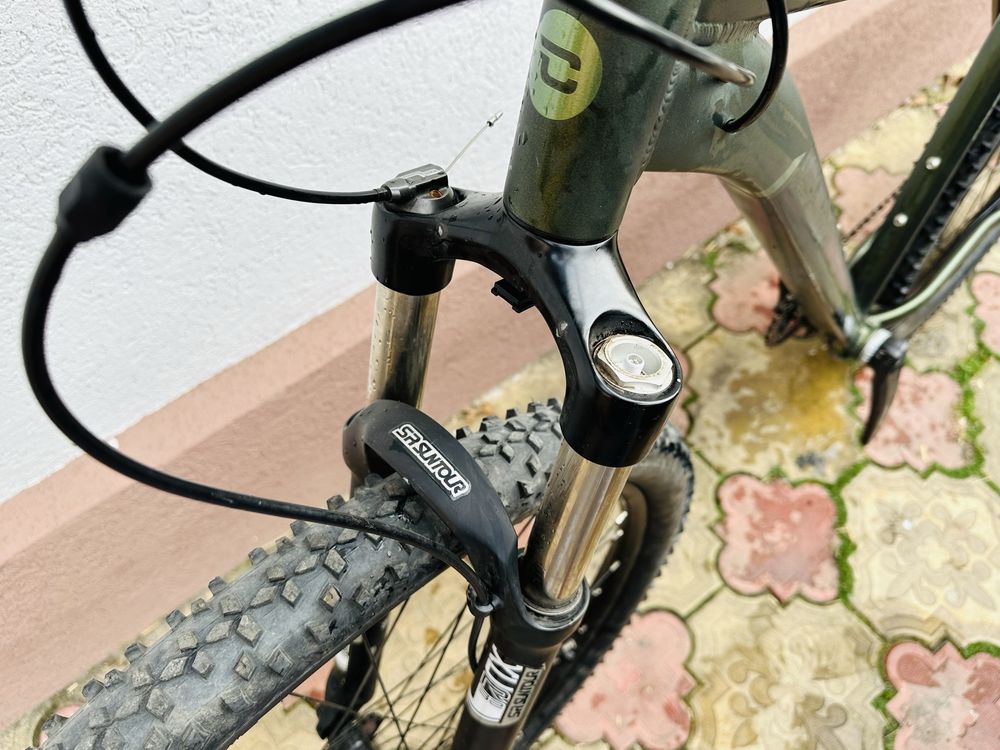 Bicicleta companion roti 29”