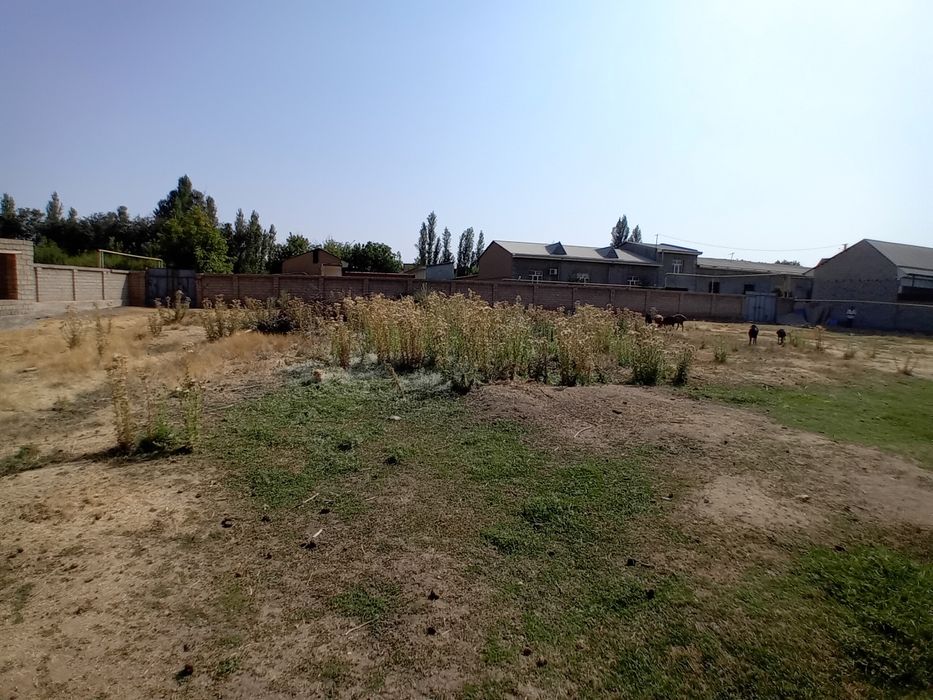 Toshkent tumani abdurahmonda 25 sutu fasat 60*42 ichkarisiga uglavo'y