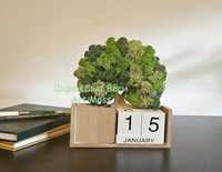 Дърво на живота Скандинавски мъх,  Дървен вечен календар с моливник