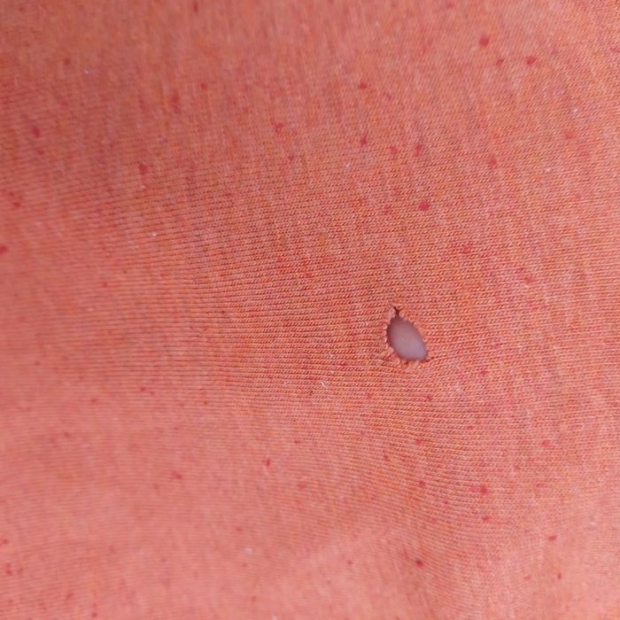 Carhartt Pocket T-Shirt