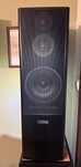 Boxe Canton SL900