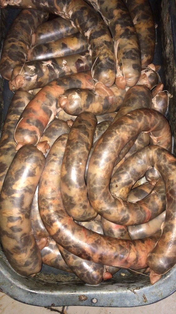 Продам шужык в любом количестве