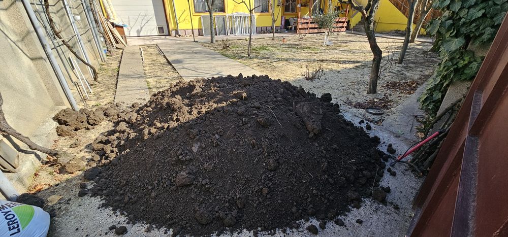 Pamant vegetal negru București sector 1 2 3 4 5 6 Ilfov Mogoșoaia