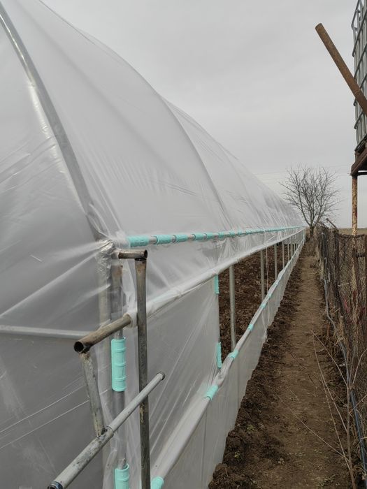 Sere solarii legume flori