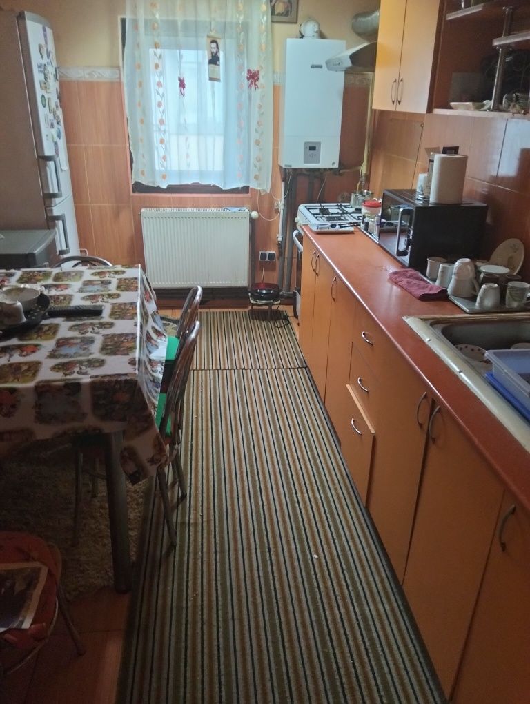 Apartament 4 camere Brosteni