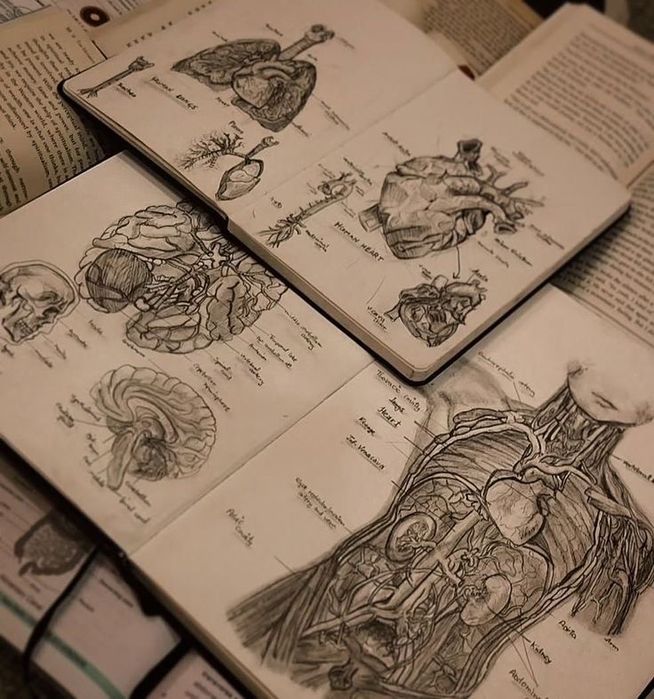 Meditatii Biologie BAC