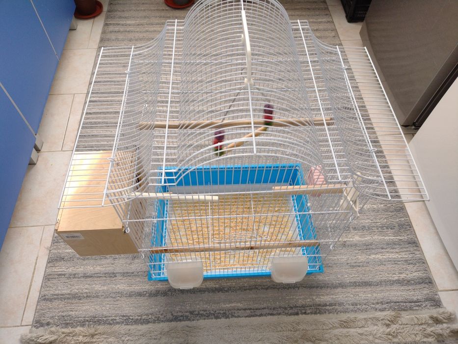 Colivie pentru peruși