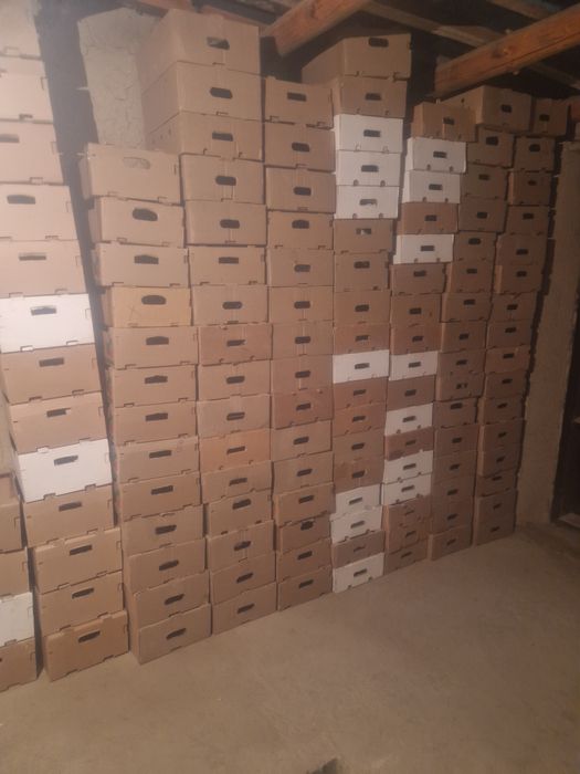 Каробки от оваша