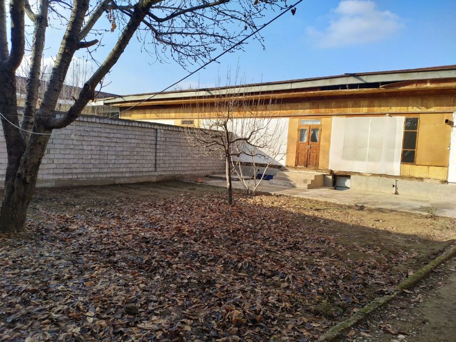 Yunusobod 19 kv roparasida Tutzor mahallada. 1-liniya!!!