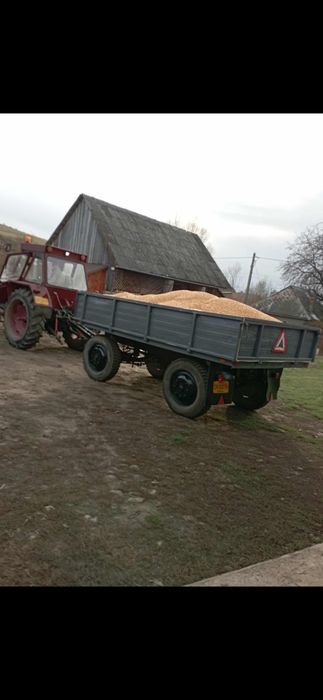 Vand porumb boabe ‼️