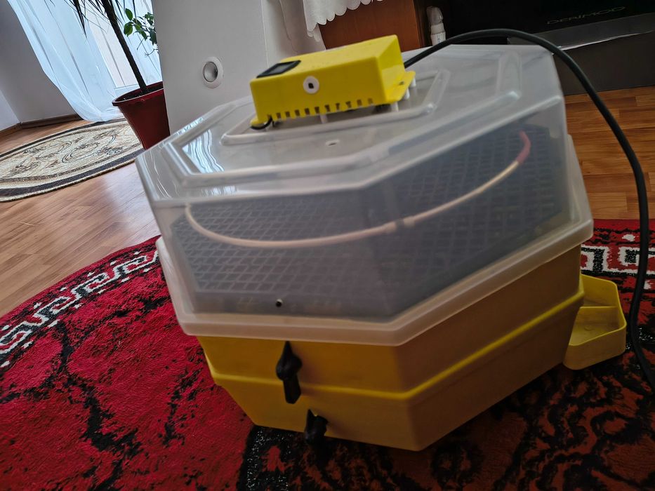 Incubator Cleo 5ETGPHC