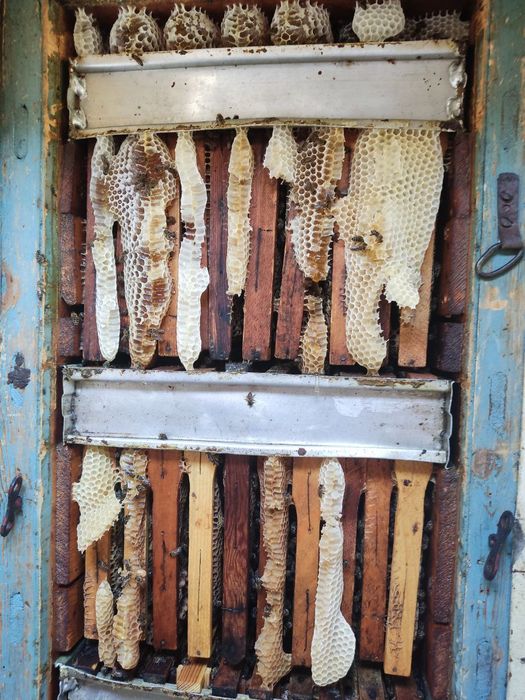 Натуральный мёд с собственной пасеки