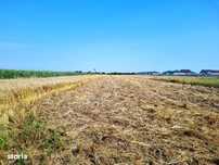 Magurele 8000MP  INTRAVILAN