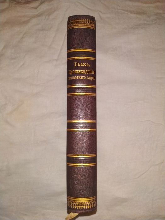 Антиквариат. Гааке В. Происхождение животного мира