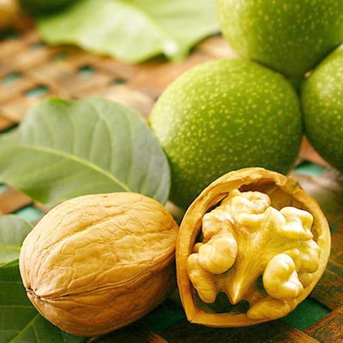 Puieti de Nuci altoiti