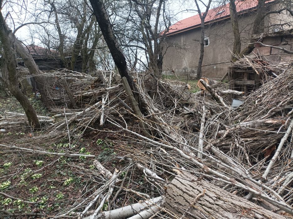 Дърва за огрев Топола,