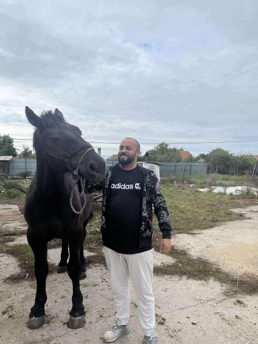 Manji de 1an jumate de vanzare