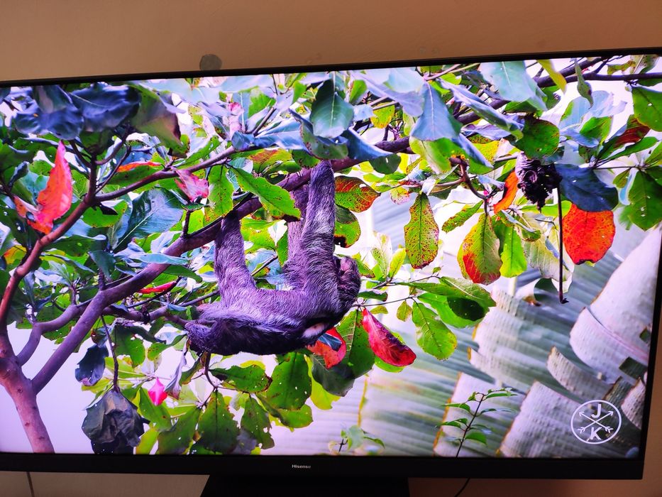 Телевизор Hisense U8HQ 55 инча MiniLED 120hz