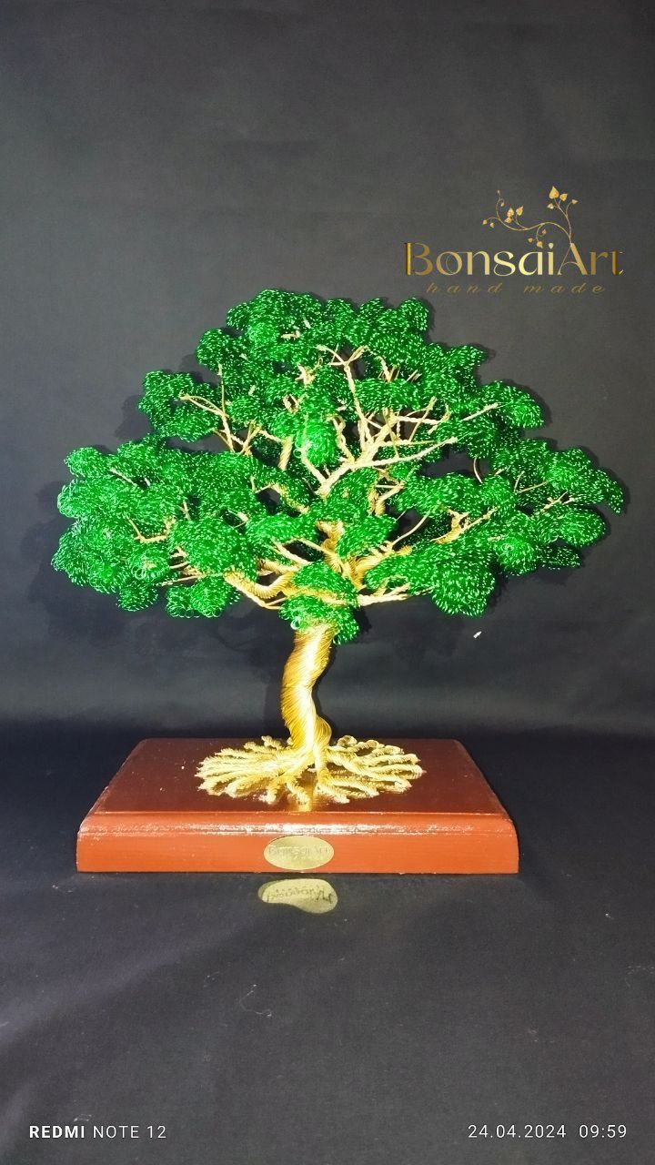 Dekarativ BONSAI daraxtlari