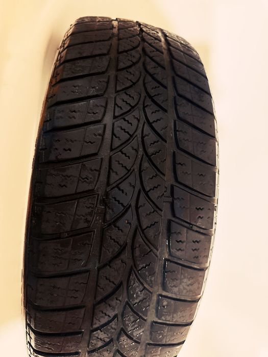 Anvelope iarna 195/65 R15