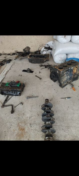 TTZ LS +100 Mator blog galofkasi bor