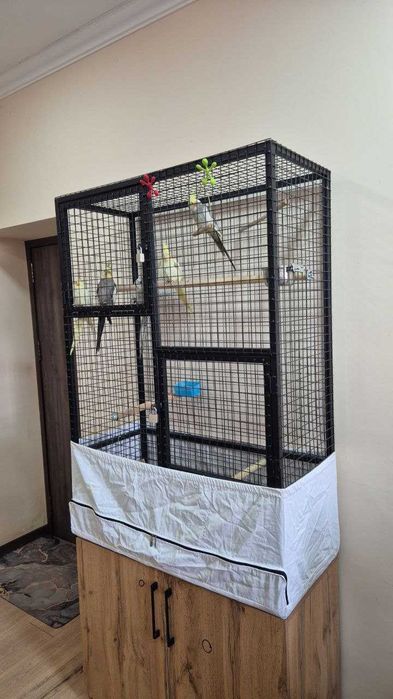 Карелла , кушлар сотилади кафас билан