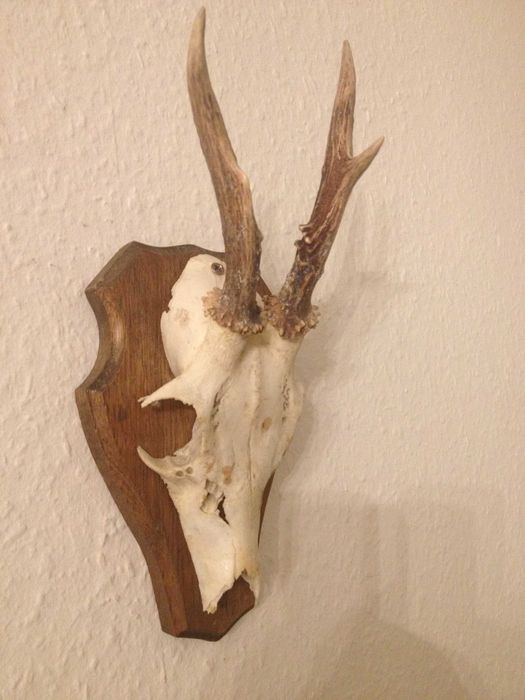 Немски трофей сръндак, документ