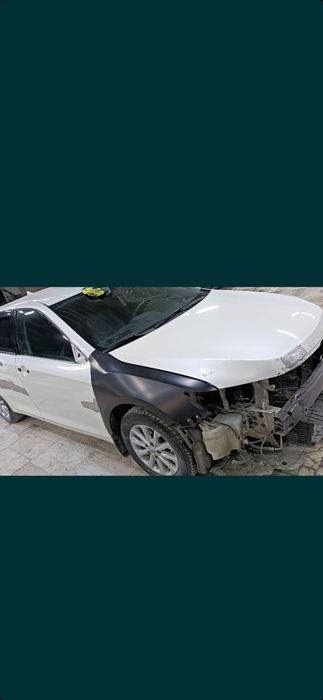 Авто маляр,костоправ маляр