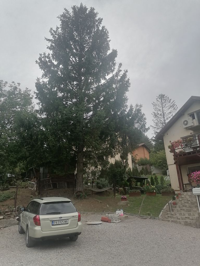 Продава се Къща в с. Бистрица, Област София-град - 220 кв.м за 3410 €/кв.м - Снимка #7