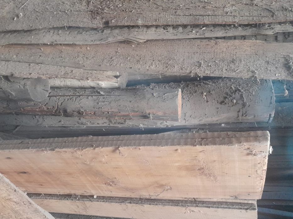 Кругляки продаются