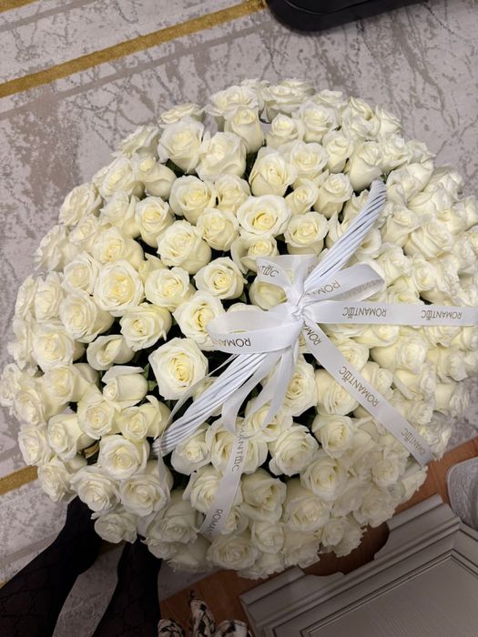 белые розы 151шт