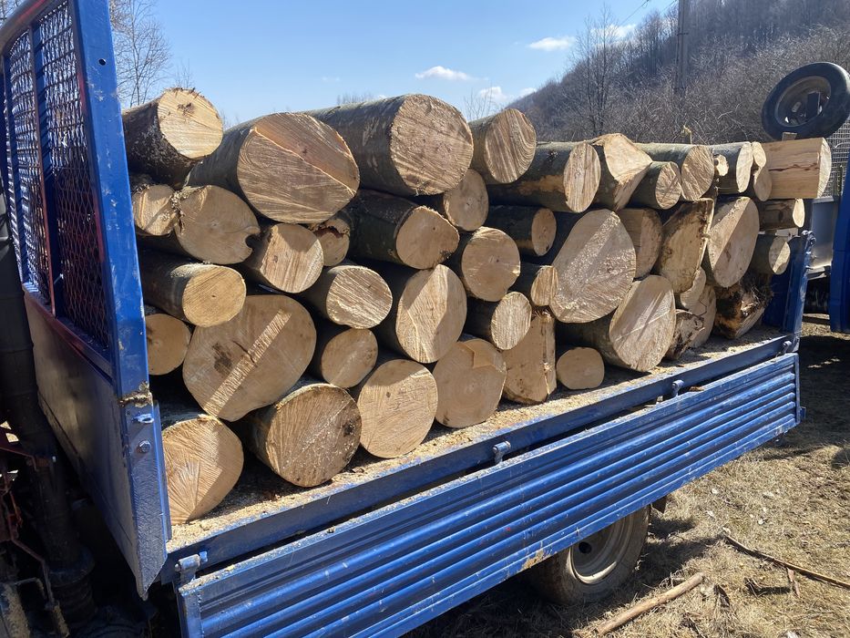 Lemn de foc trasport lemn