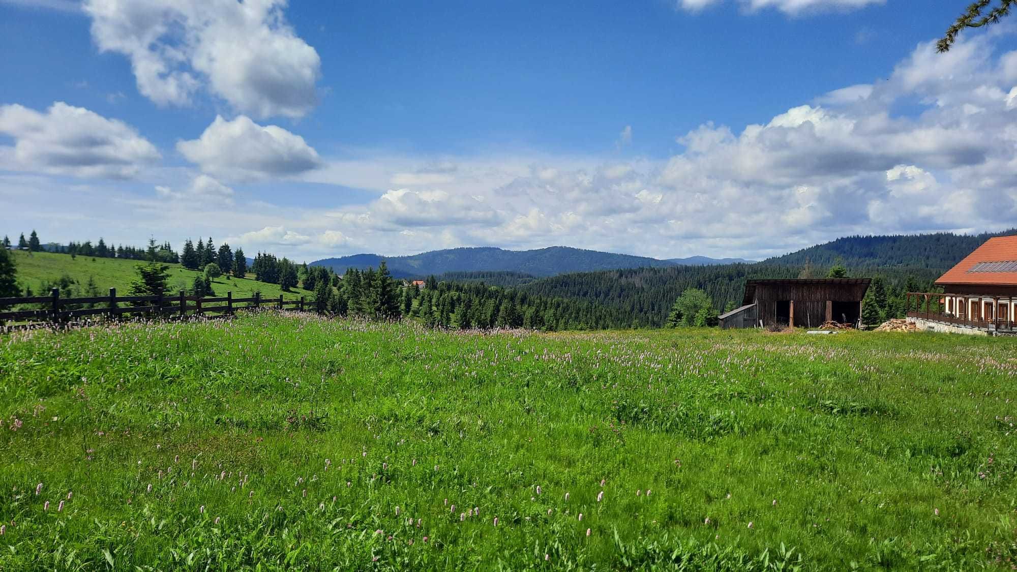 Teren intravilan, priveliste superba, la drum asfaltat -Balcesti-Belis