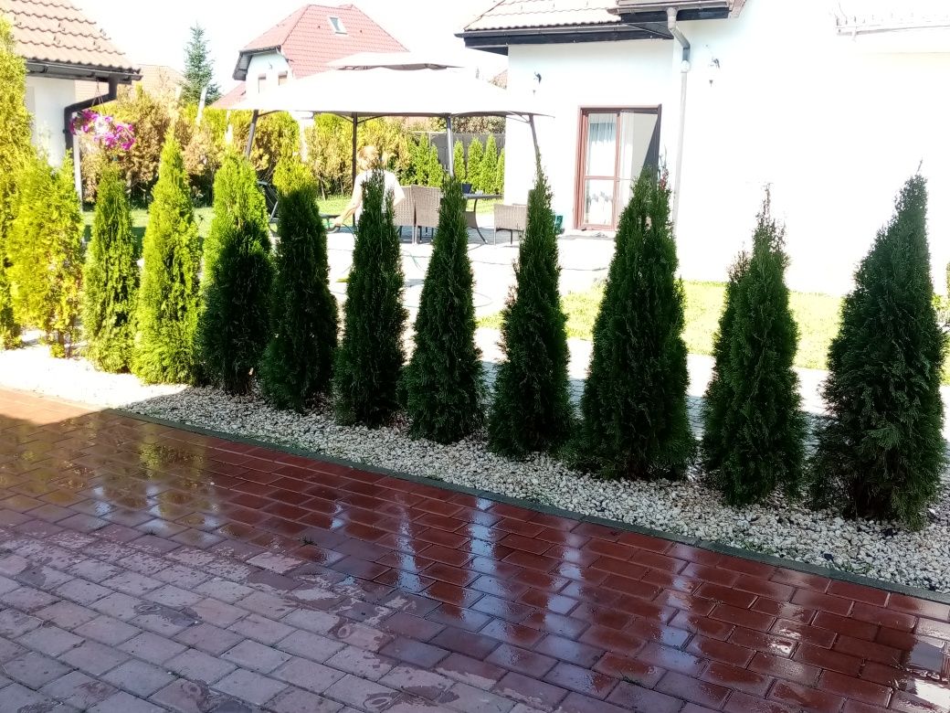 Vînd piatră naturală și montez,