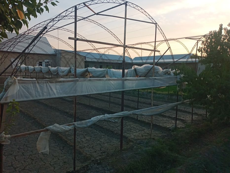 Ходати яхши  келишилган холда