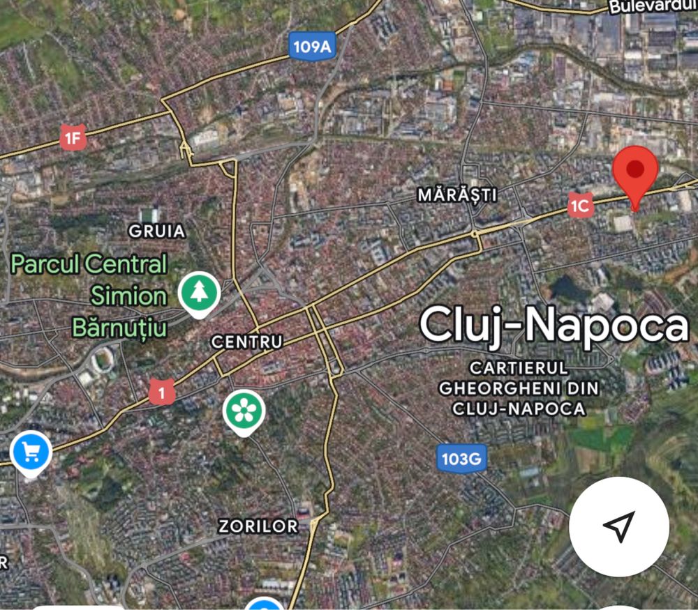 Apartament 1 camera