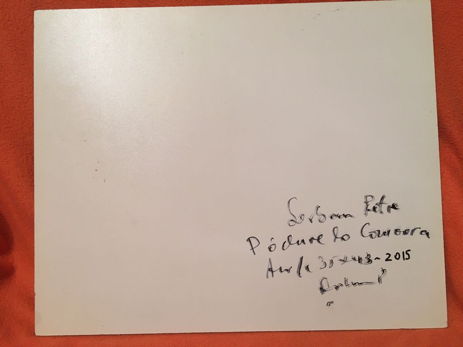 Tablou ,ulei pe carton ,35/43 cm - pictor Serban Petre .