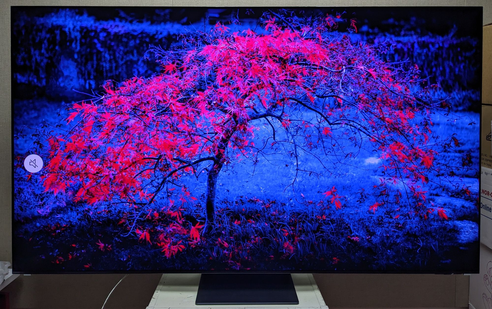 Телевизор QD OLED 55S95C 55" New 2023 Вьетнам