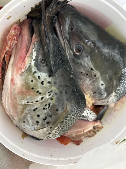 Суп набор семги 700тг за кг