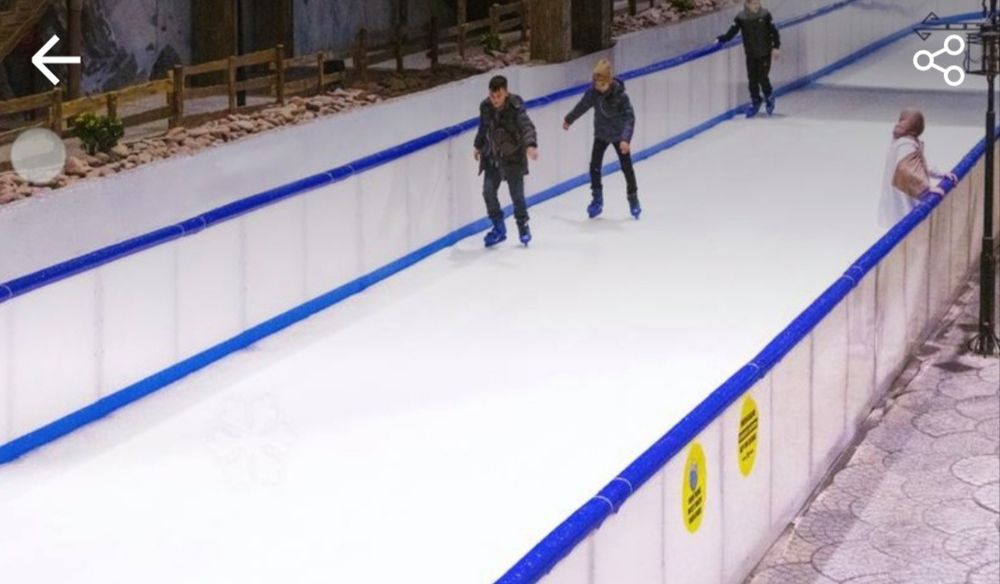 Продается Ледовый каток Frozen Lake