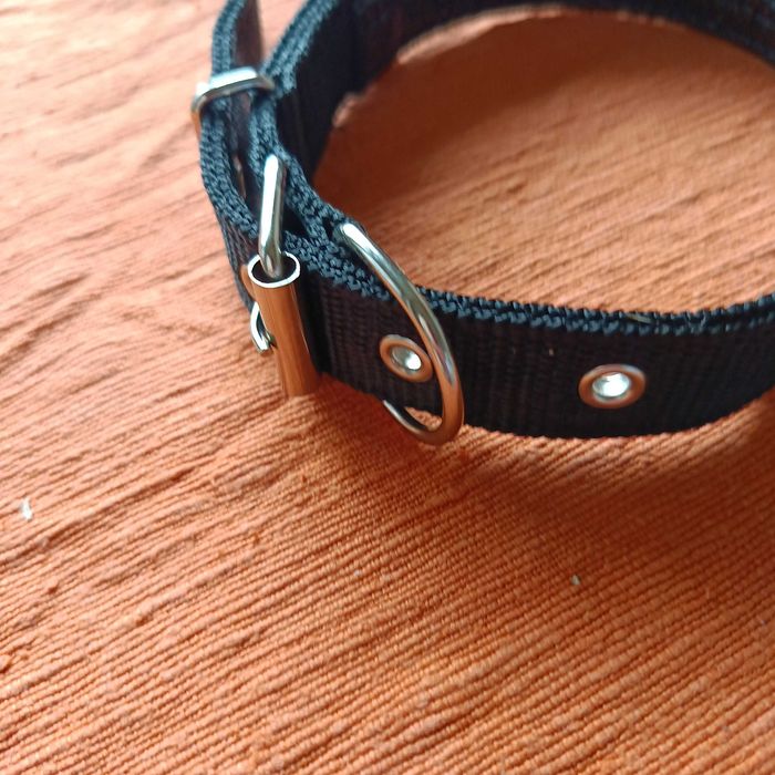 Нашийник за куче средна порода