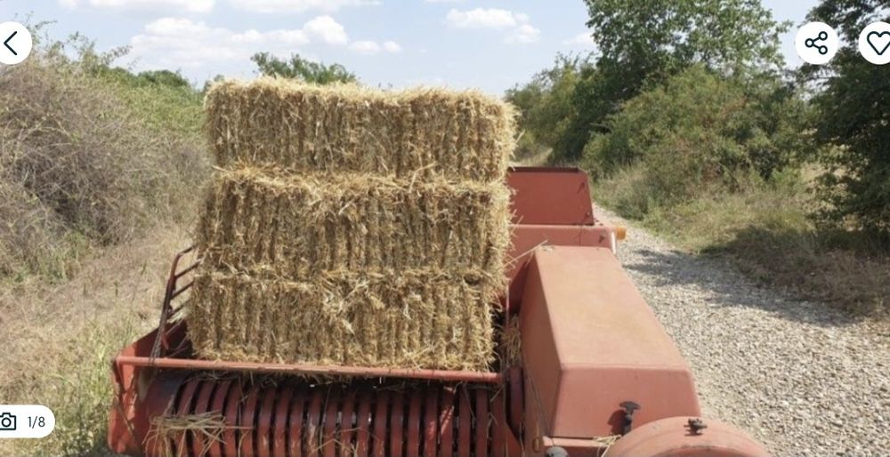 Baloți mici/mari de PAIE de GRAU, de IARBA de SUDAN/maturi. Producator