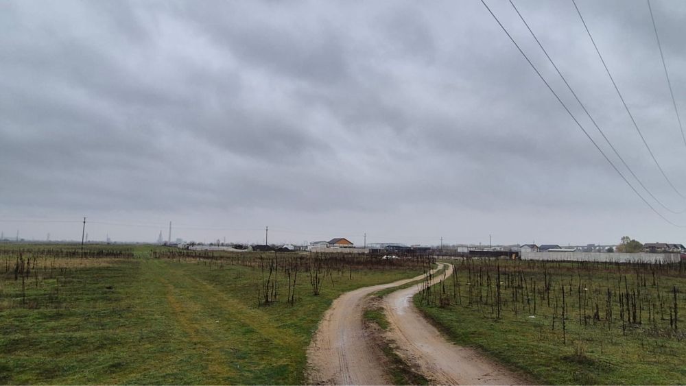 Teren extravilan 15.000 mp - Craiova - zona Cernele/ Izvorul Rece