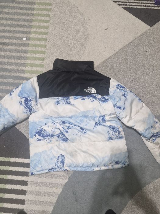 Geaca the north face