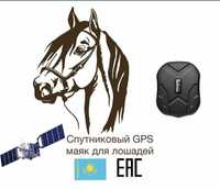 GPS трекер ТК905 для лошадей коров баранов КРС машин автомобилей
