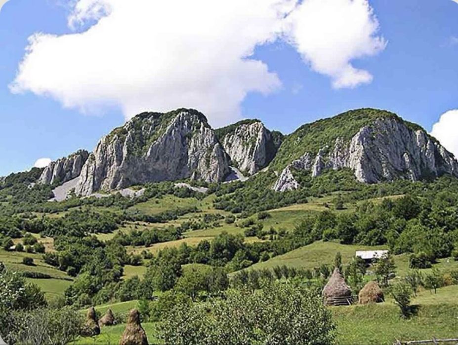 Terenuri Ramet - Muntii Apuseni