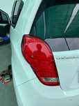 Meris 222 qilingan Spark orqa farasi