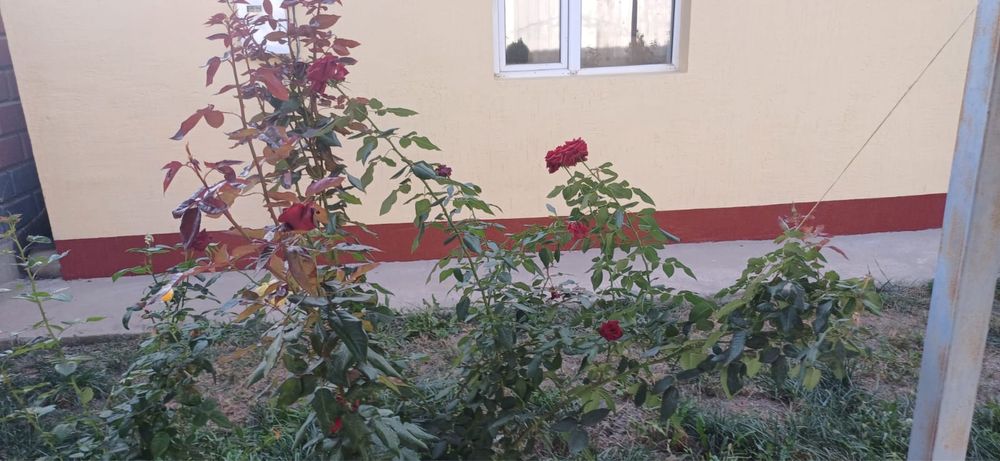 Каскелен жер үй срочно