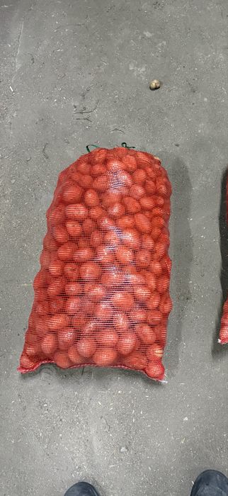 Картофель средний (полторашка)